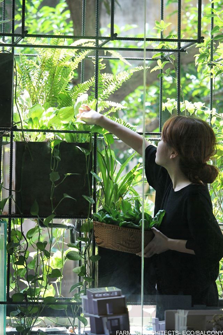 Một ban công sinh thái tại Hà Nội. Ảnh: Farming Architects.