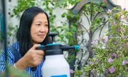 Khu vườn của người phụ nữ ở ẩn từ tuổi 40