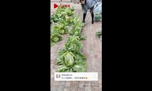 Người phụ nữ trồng trên sân gạch