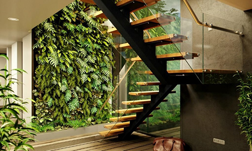 Vườn trong nhà thường rất khó chăm sóc và các cây dễ chết. Ảnh: Inhabitat.
